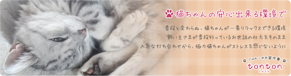 猫ちゃんの安心出来る環境で
