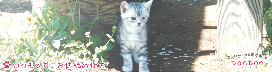 いつもと同じお世話の仕方