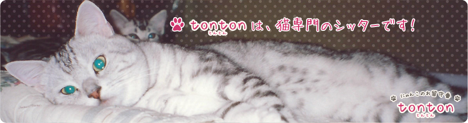 今なら打ち合わせ無料キャンペーン実施中!!